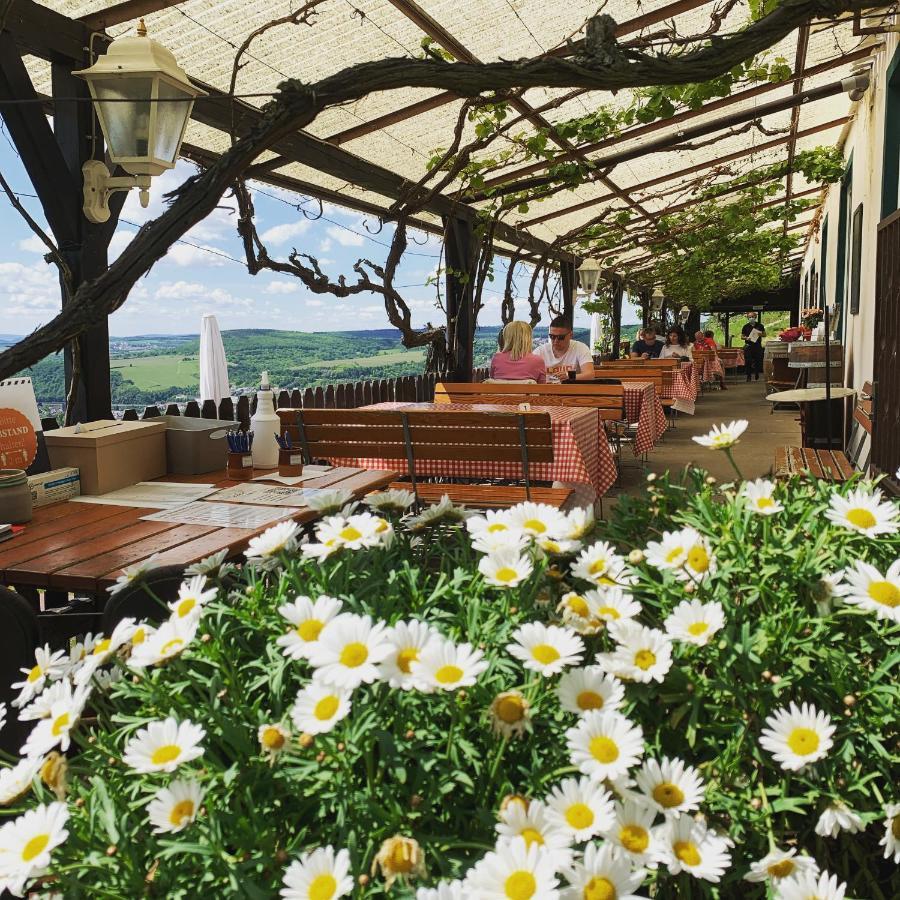 Das Rebenhaus ฮูเดสไฮม์ แอม ไฮน์ ภายนอก รูปภาพ