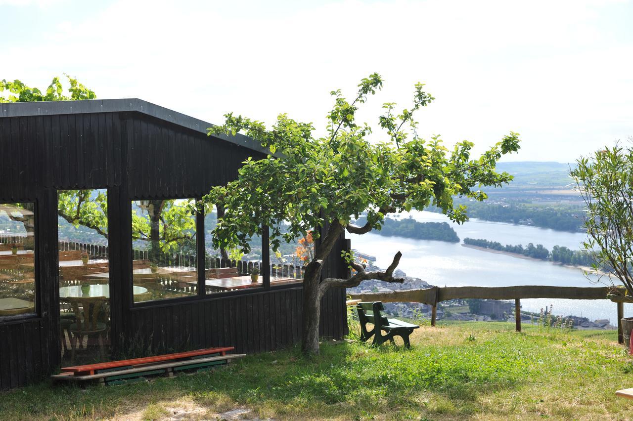 Das Rebenhaus ฮูเดสไฮม์ แอม ไฮน์ ภายนอก รูปภาพ